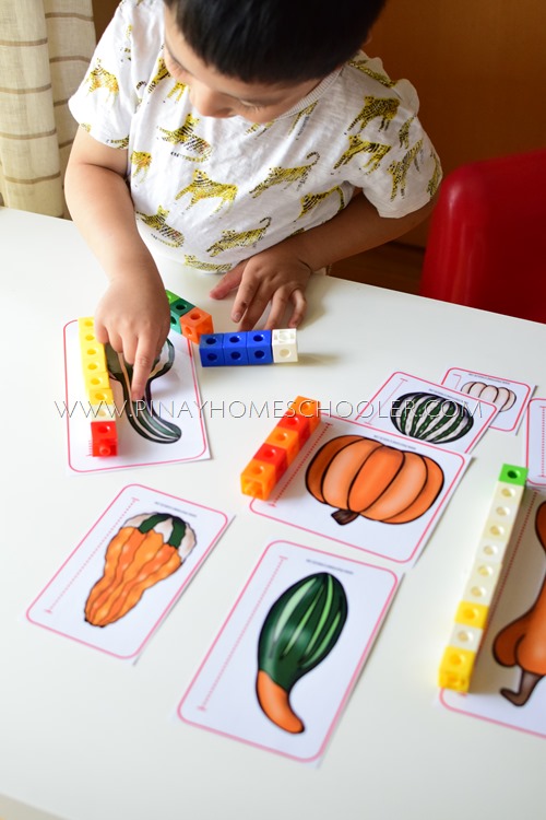 GOURD MEASURING ACTIVITY