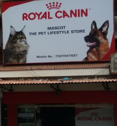 Mascot Pet Shop, Ferreira Garden, Gogol, Margao, Goa 403601, India, Shop, state GA