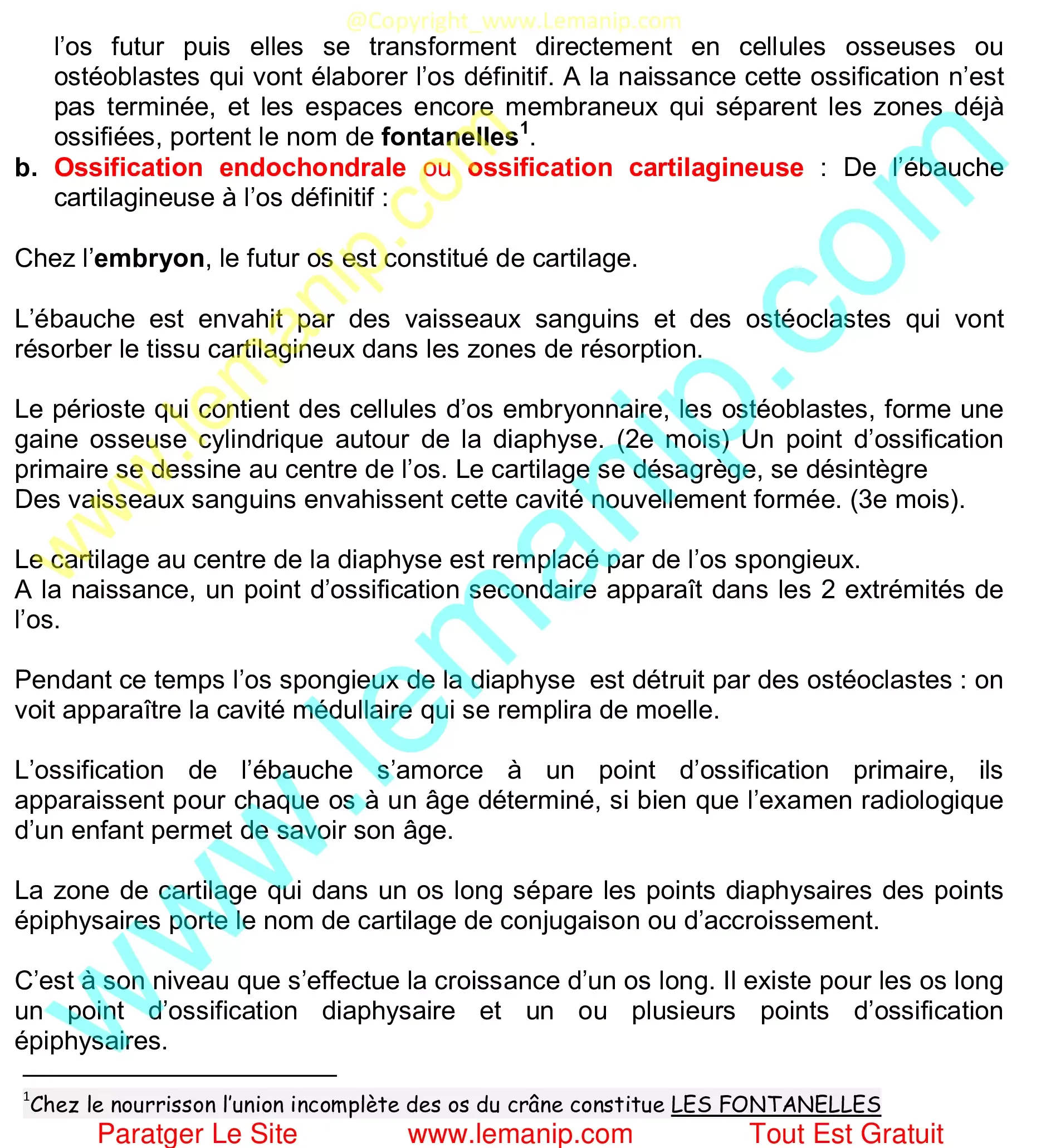 ossification endochondrale ou ossification cartilagineuse