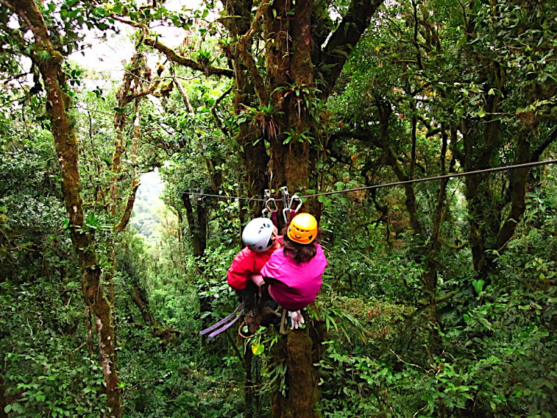 Zip Line in Monte Verde