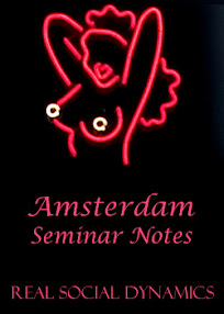 Cover of Real Social Dynamics's Book Amsterdam Seminar Notes