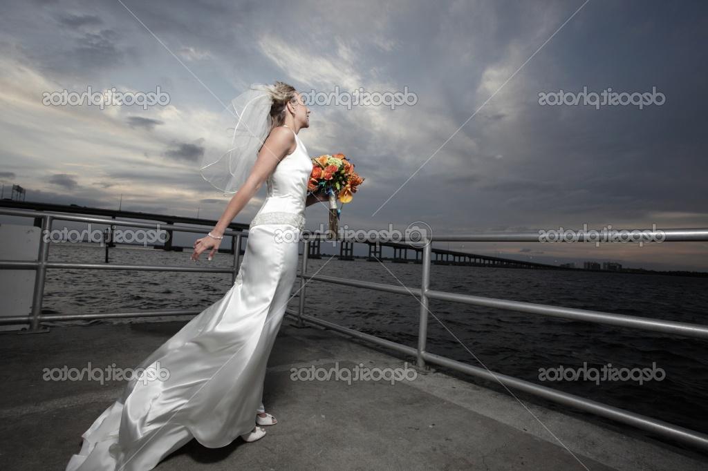 bride in her wedding gown