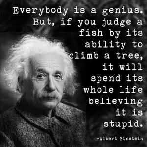  Bahasa  Inggris  Kata Kata  Albert  Einstein  kata kata  buat 