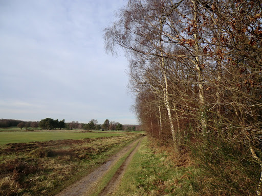 CIMG9905 Alongside Walton Heath golf course