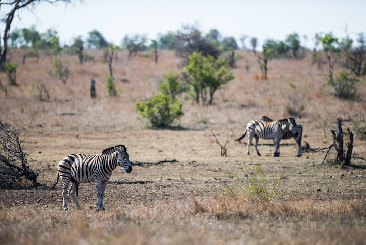 20151013_AFRICA15_810_0058.jpg