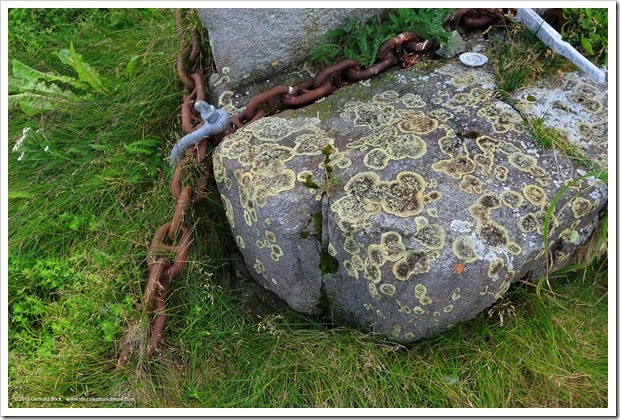 150910_Adak_rocks lichen1_WM