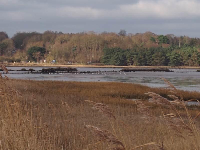 Blythburgh 