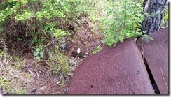 Capped artesian well