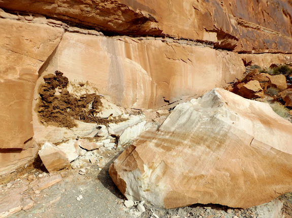 Recent rockfall that probably has petroglyphs on it