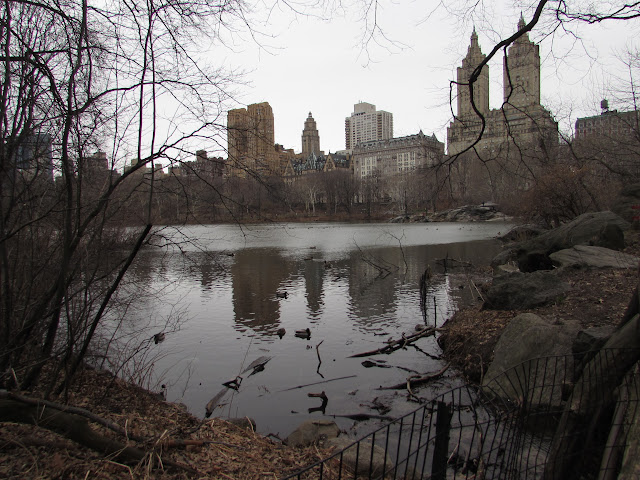 Descubriendo Nueva York. Primera visita en Marzo 2015 - Blogs de USA - Sábado 28 de Marzo. Central Park, Chelsea, High Line y Empire State (10)