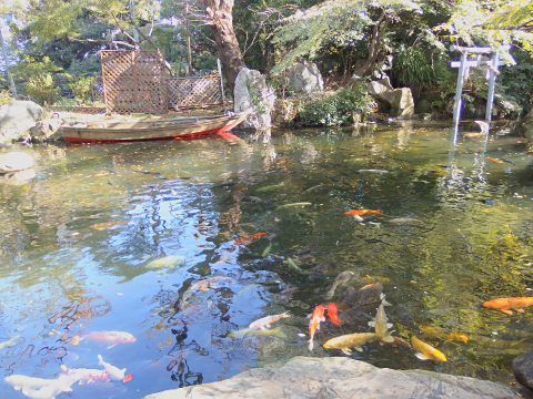 愛宕神社の池