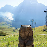 hallo and welcome to the First Mountain in Switzerland in Grindelwald, Switzerland 