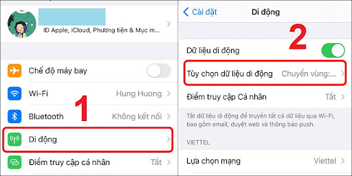 Chọn Tùy chọn dữ liệu di động.