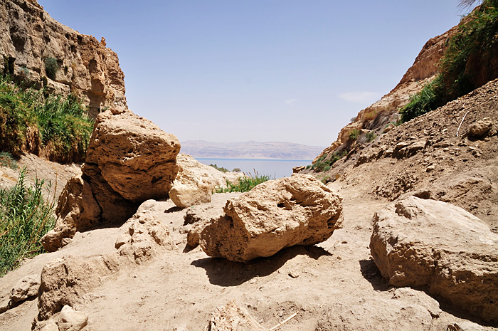 Ein Gedi, Marea Moartă