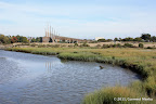 Arrowhead Marsh