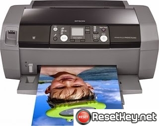 Reset Epson R245 Waste Ink Counter overflow problem