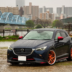 CX-3 DKEFW