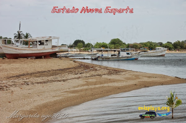 Playa Laguna La Raya NE121, Estado Nueva Esparta, Tubores