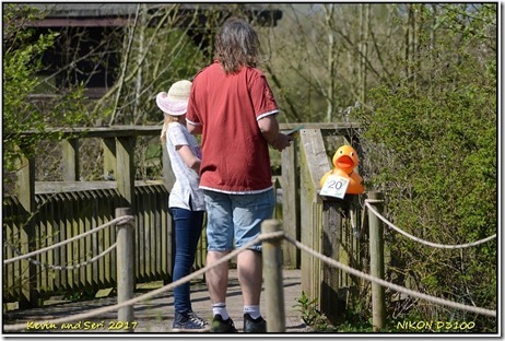 Slimbridge WWT - April