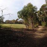 The old pony club grounds (153340)