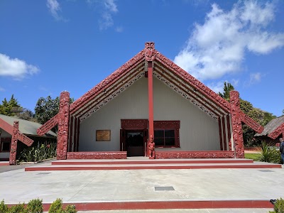Photos of Te Puia