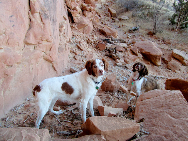 Torrey and Boulder