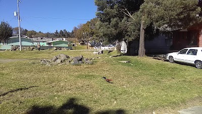 Photos of Campo deportivo "San Carlos"