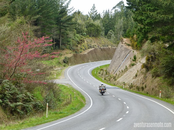 NZ.carretera.JPG