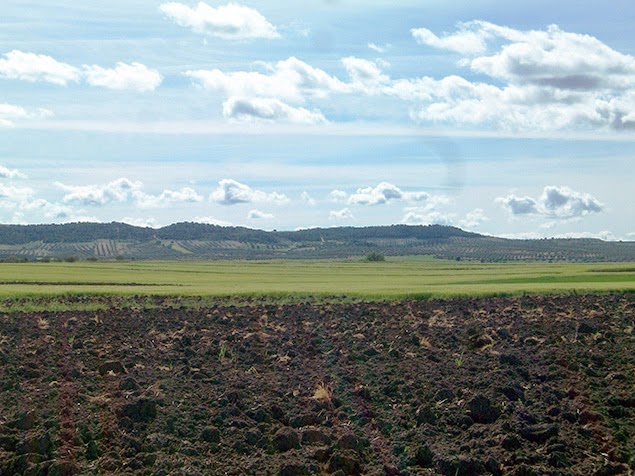 Montes Bomberos