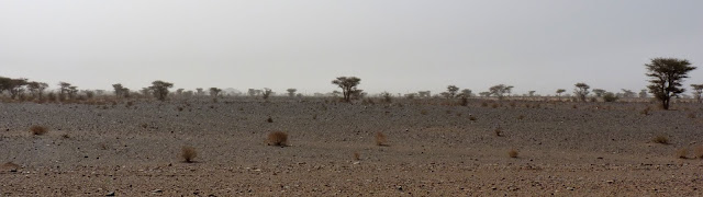 10 De Merzouga a Ouarzazate - Ruta de las mil kasbahs con niños (2)