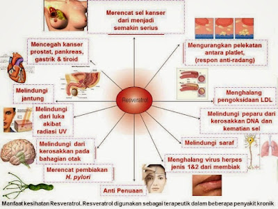 resveratrol