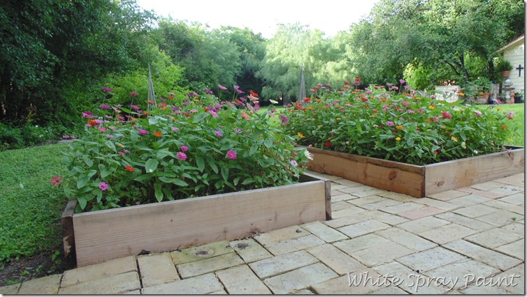 Raised Beds