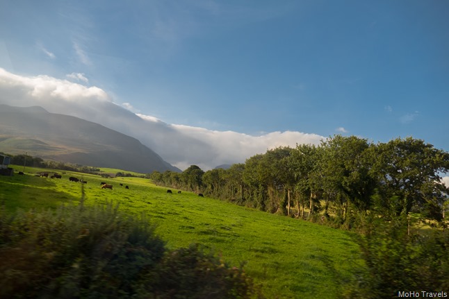 The Ring of Kerry (1 of 1)-6