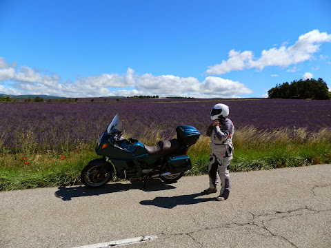 La lavanda!