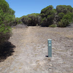 Arrow marker beside Kangarutha Track (104320)