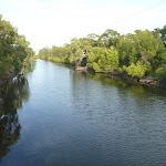 Creek at Belmont lagoon (390137)