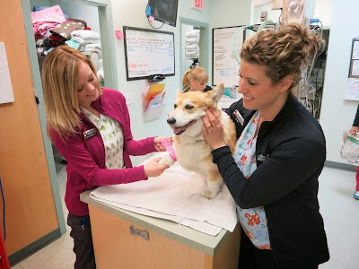 photo of Foothills Animal Hospital