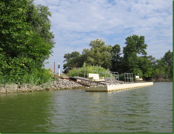 Last Paddle from Cayuga A (89)