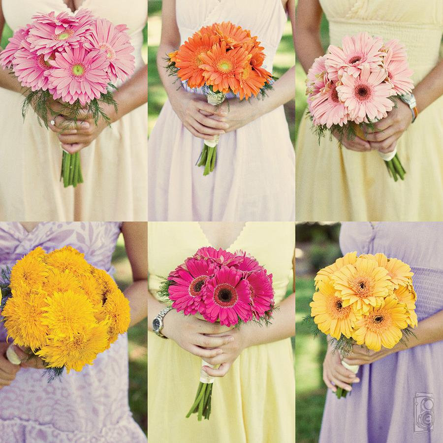 multicolor-daisy-bouquets