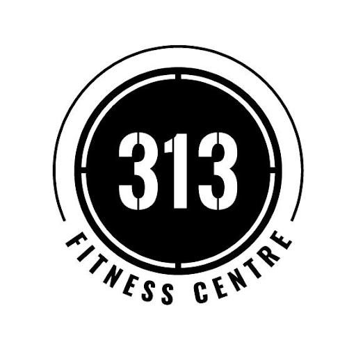 313 Fitness logo