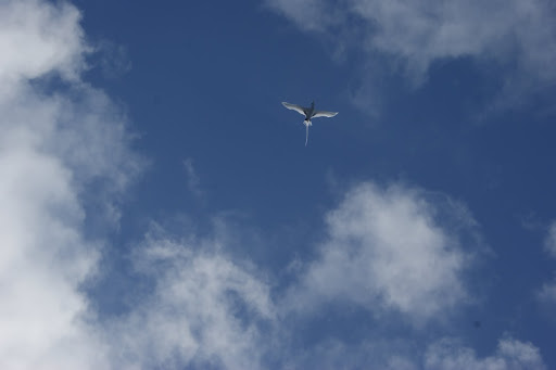 DSC09883.JPG