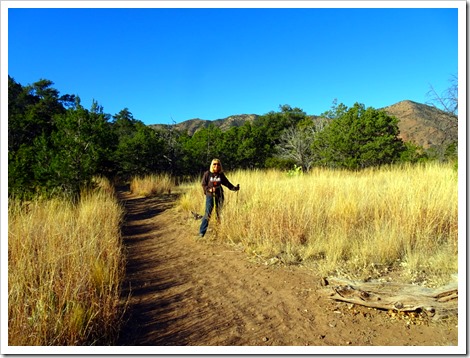 CHISOS BASIN…PINNACLES TRAIL