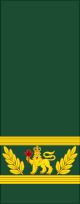 파일:external/upload.wikimedia.org/80px-Canadian_Army_sleeves_%28Commander-in-Chief_of_the_Canadian_Armed_Forces%29.svg.png