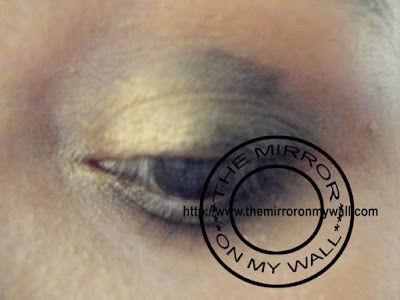 Smokey Gold Eye 5.jpg