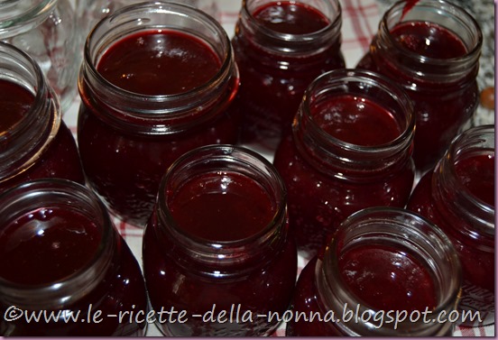 Marmellata di more (11)