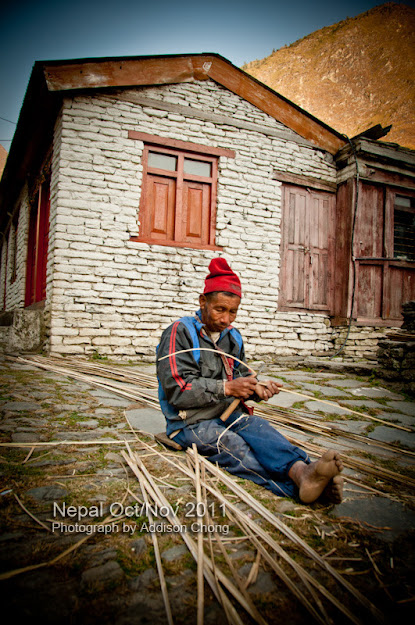 Nepal bamboo