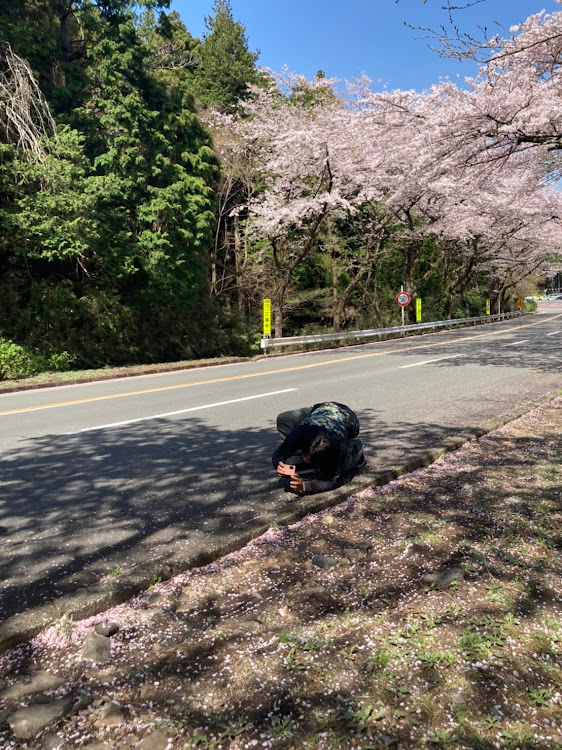 の投稿画像16枚目