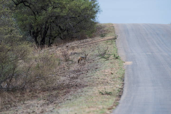 20151017_Africa15_D810_2631.jpg