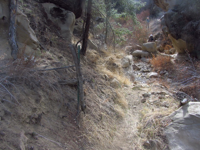 looking back over a bit of trail from near an old fence