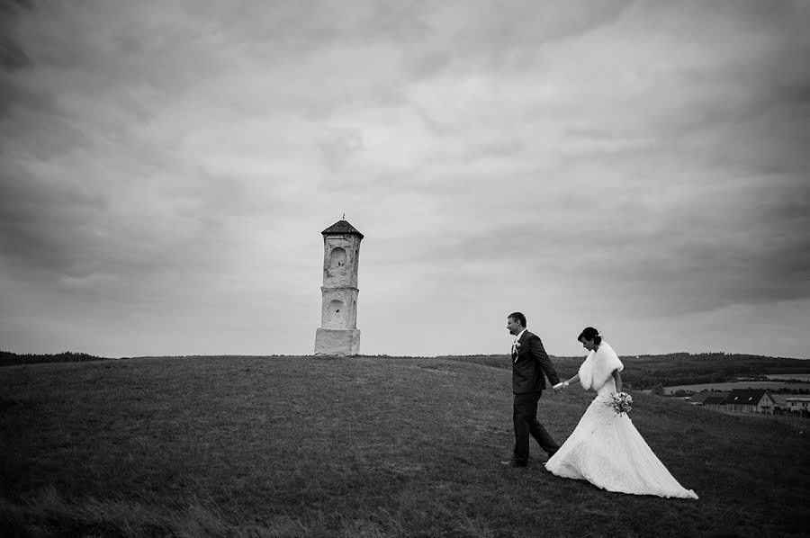 Wedding photographer Žaneta Malá (zanetamala). Photo of 30 March 2017